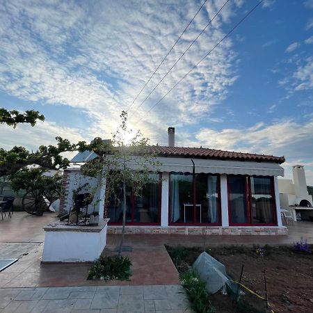 Country Lux Apartment Near Airport Markópoulon 외부 사진