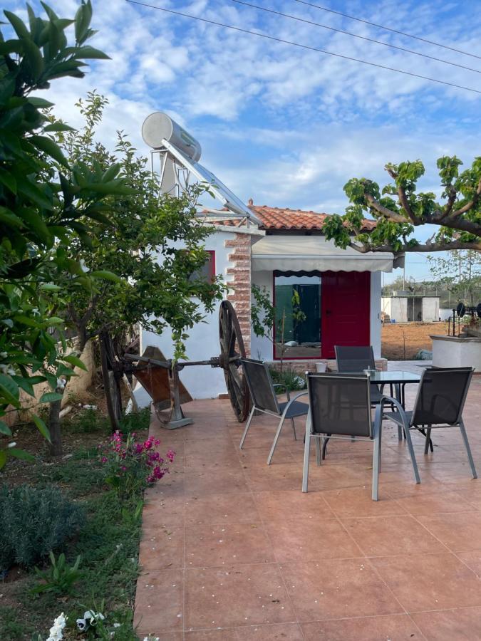 Country Lux Apartment Near Airport Markópoulon 외부 사진