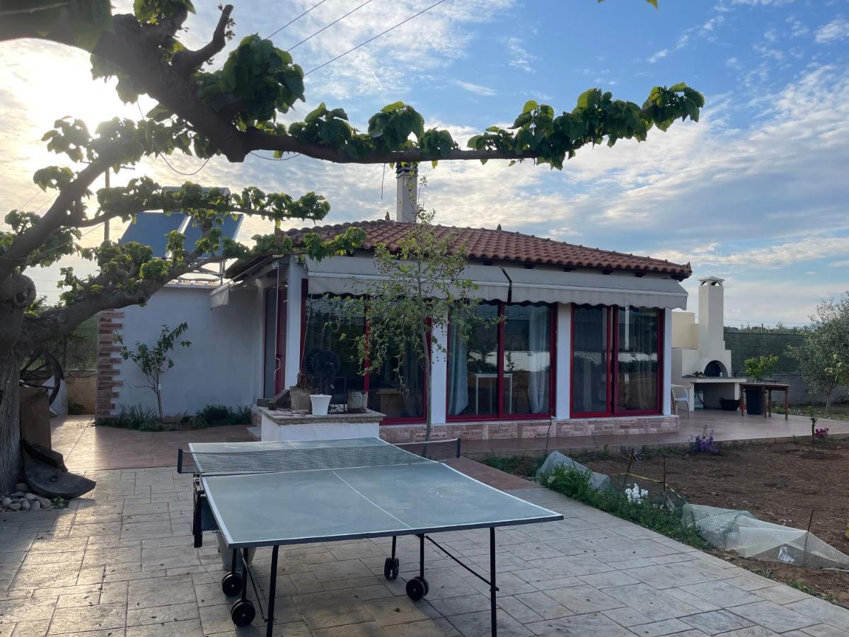 Country Lux Apartment Near Airport Markópoulon 외부 사진